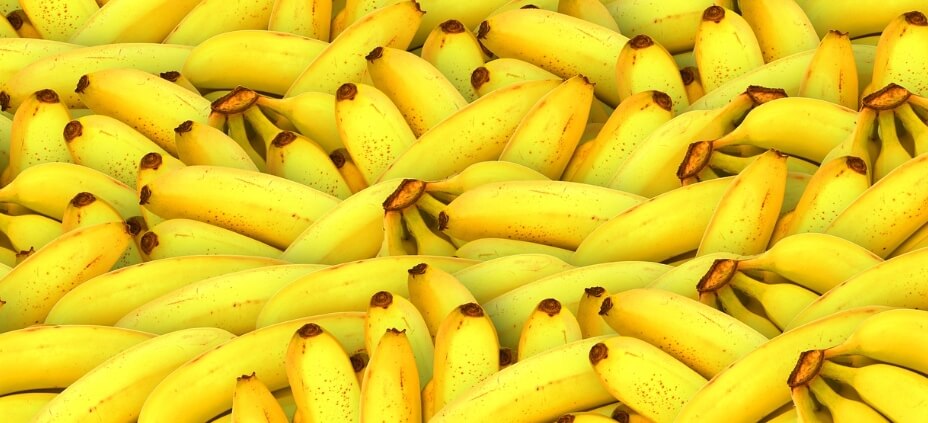불면증 치료 바나나