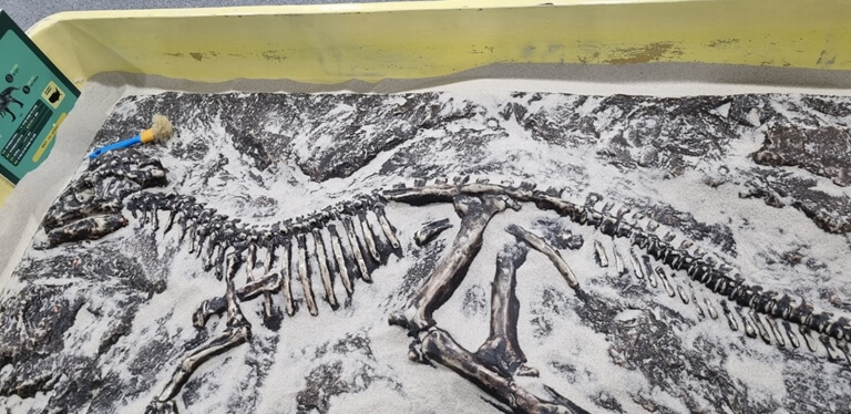 다이노스 얼라이브 화석